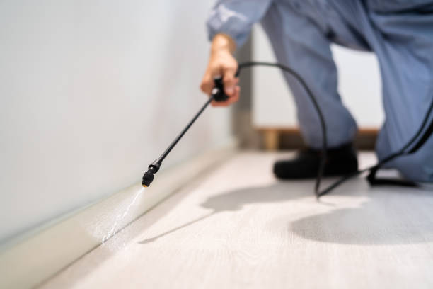 Professional exterminator conducting IPM assessment in Harvey